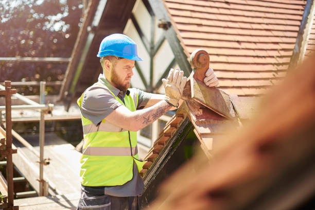 Best Roof Gutter Cleaning  in Sackets Harbor, NY